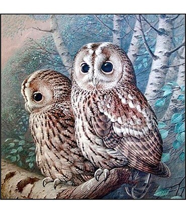 Dessin d'hibou bleu Diamond Painting